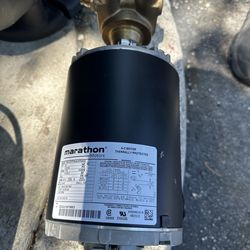 Marathon Motors 3/4 HP Carbonator Pump Motor (Model 5KH37PNA479AX