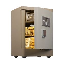 Money Safe 