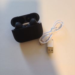 Black Earbuds