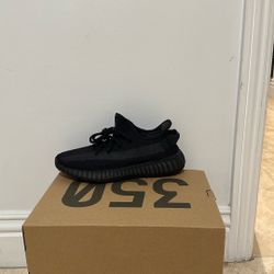 Yeezy 350