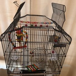 Bird Cage
