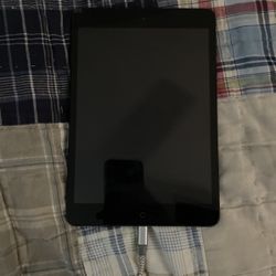 Ipad Mini