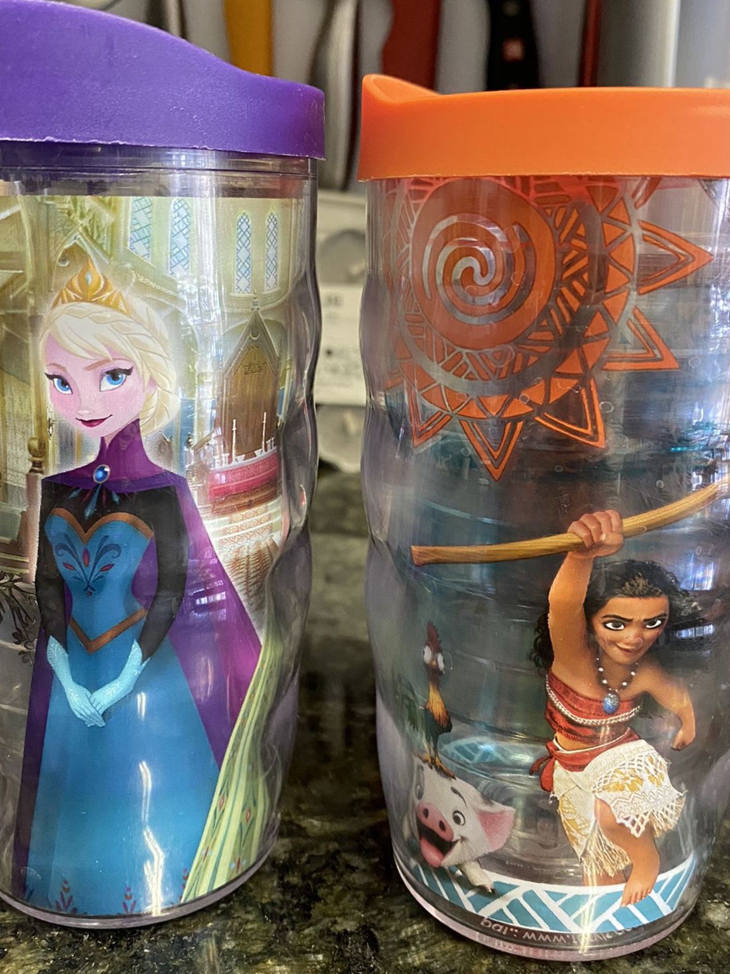 Frozen and Moana Tervis Tumblers