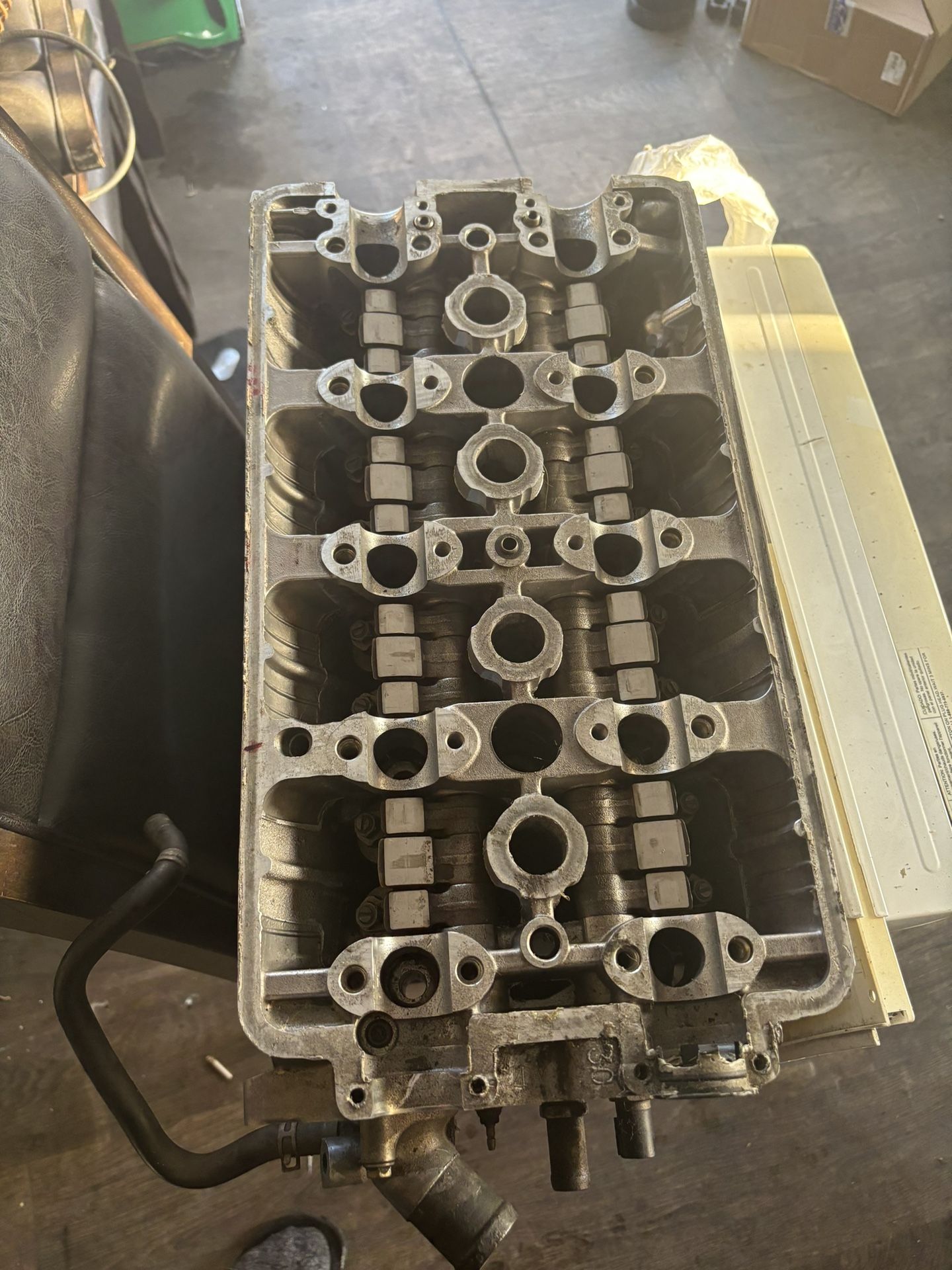 B16 Head PR3-4