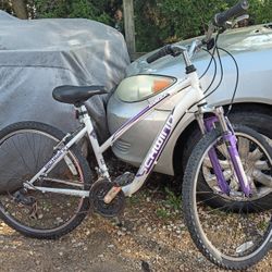 Schwinn Ranger Mountain Bike Rides Shifts And Stops GREAT 
