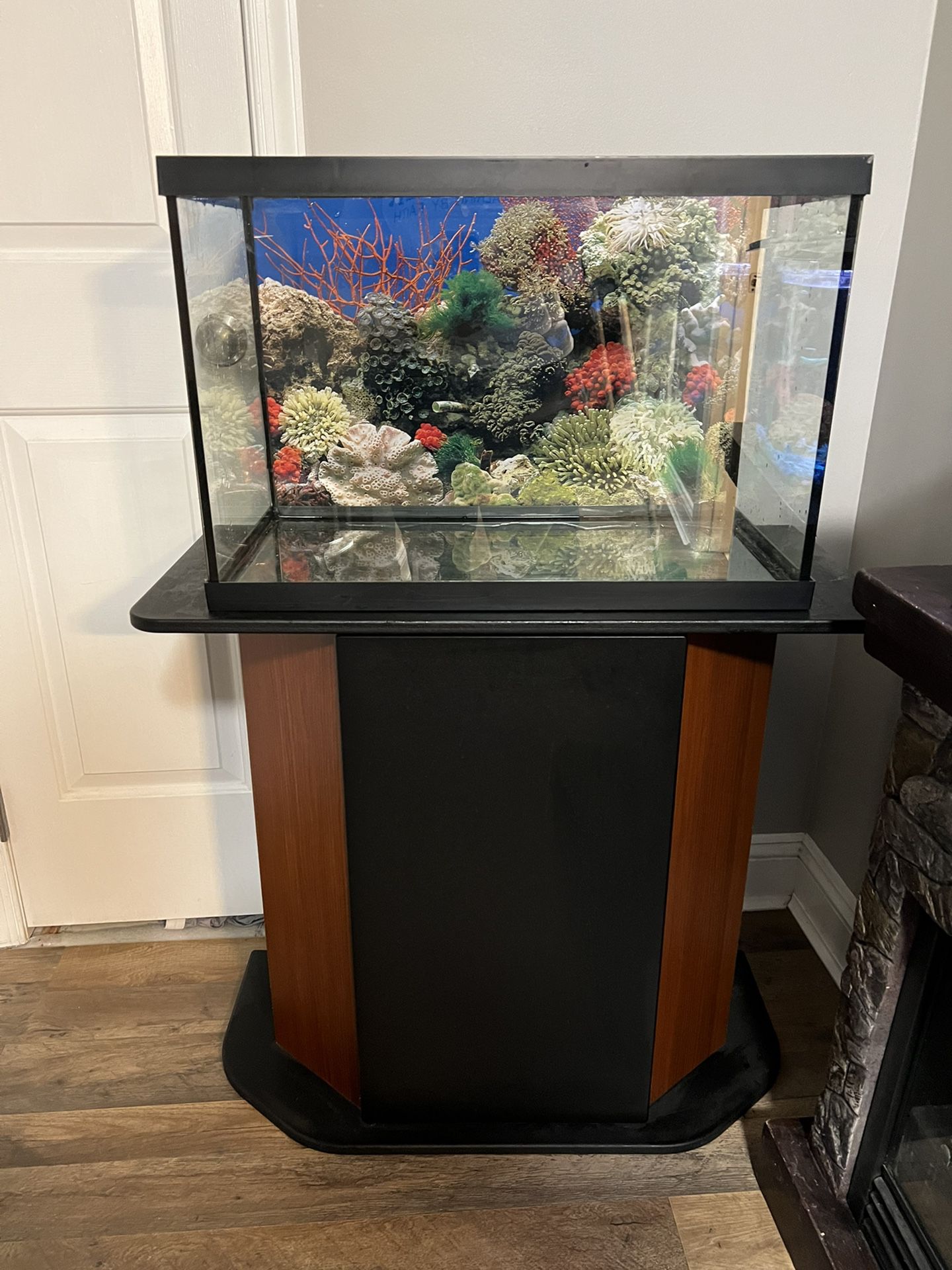  20’ Fish Tank With Stand