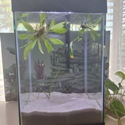 10 Gallons Fish Tank