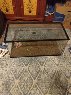 18x16x36" glass terrarium with lid.