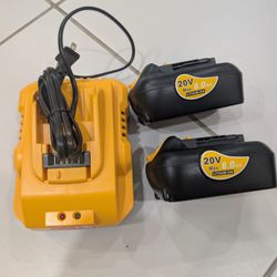 Set of Lithium Batteries with Charger 
