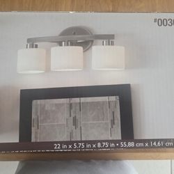 Allen + Roth 3 Light Vanity