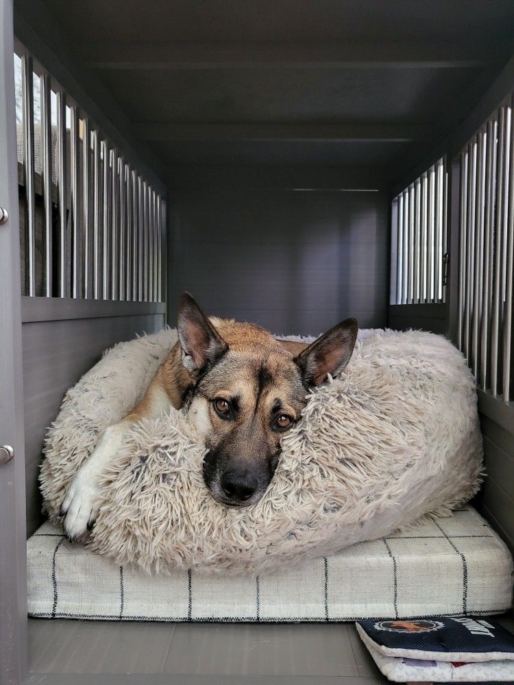 XL Dog Crate / End Table