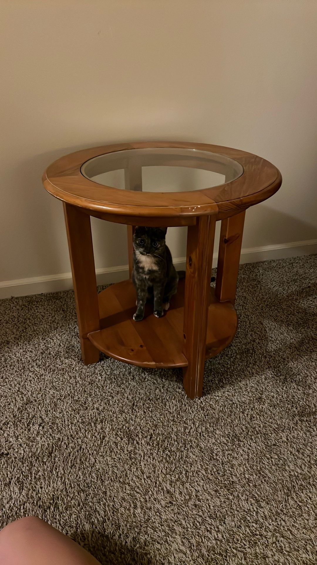 Glass & Wood Side Table