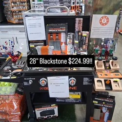 28" Blackstone