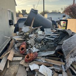 Basura/trash/demo