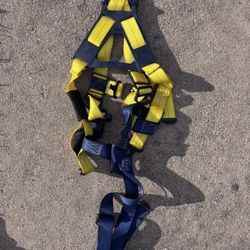 Delta Industrial Safety Harness