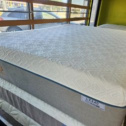 Mattress And Box Spring Size Queen 