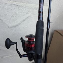 Penn Fierce 3 8000 Rod And Reel Fishing Combo