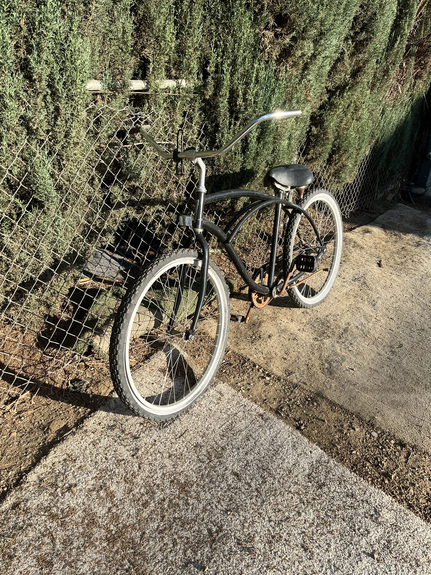 Classic Body Bike