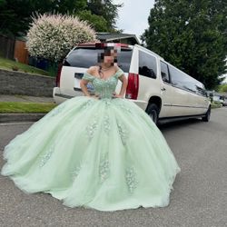 Quinceañera Dress 