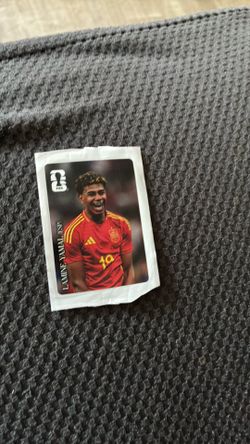 Panini sticker