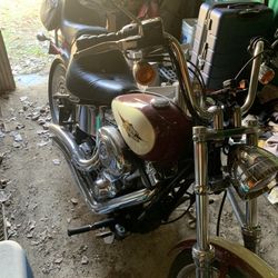 2007 Softail Harley Davidson 