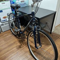 Giant Cypress Dx  (M)