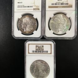 3 High grade NGC Slabbed Morgans