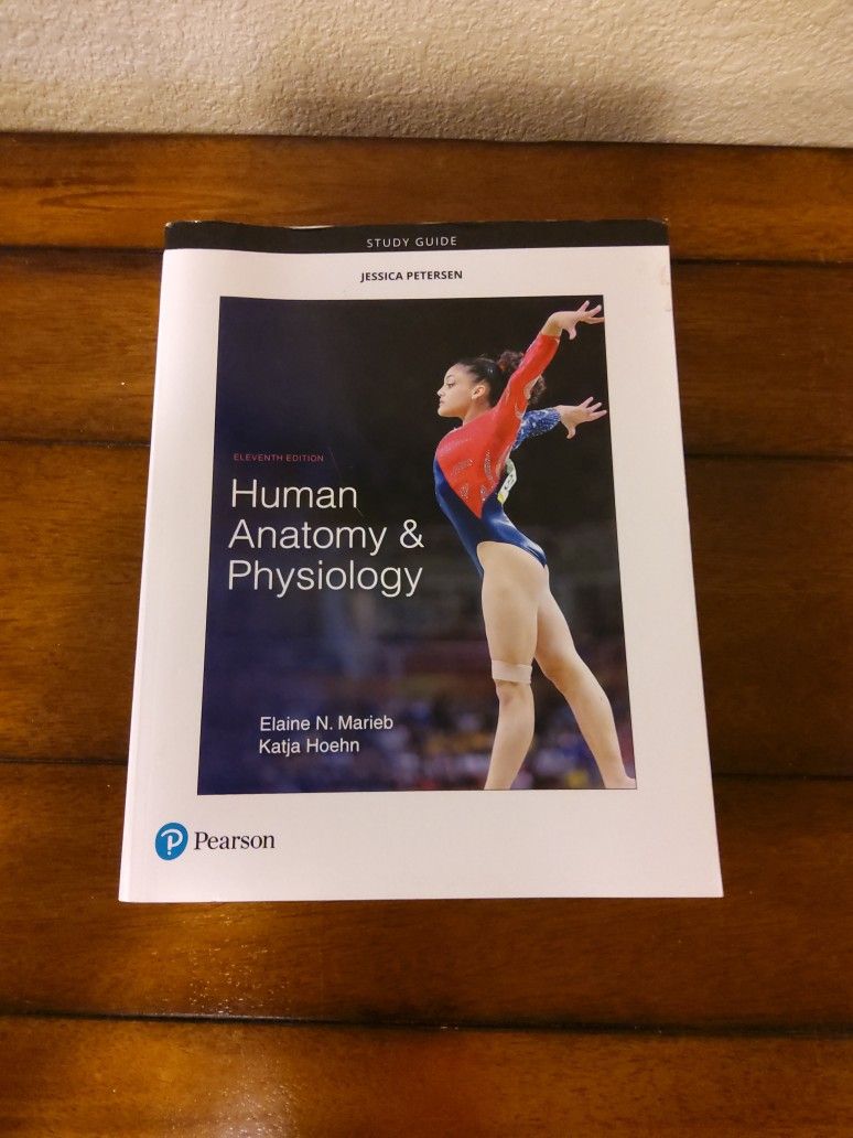 Nursing Books Human Anatomy And Physiology Study Guides