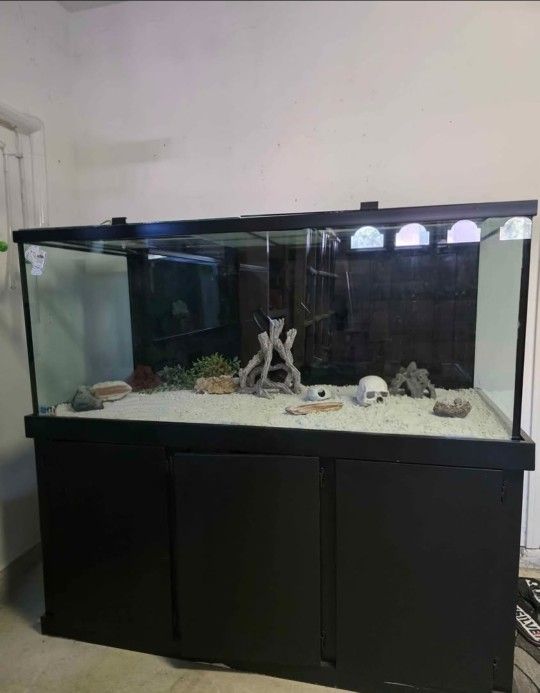 160 gallon Fish Tank Reptile tank Aquarium with cabinet filtation system decoration