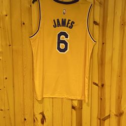 Brand New LeBron James Jersey Los Angeles Lakers Adult XXL