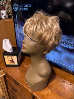 Roz 1) Classic Short Layered Women's Wig in Light Blonde - 22” Paula Young