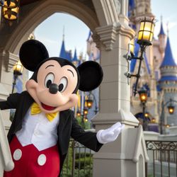 Theme Parks