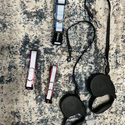 Dog Collar And Leash