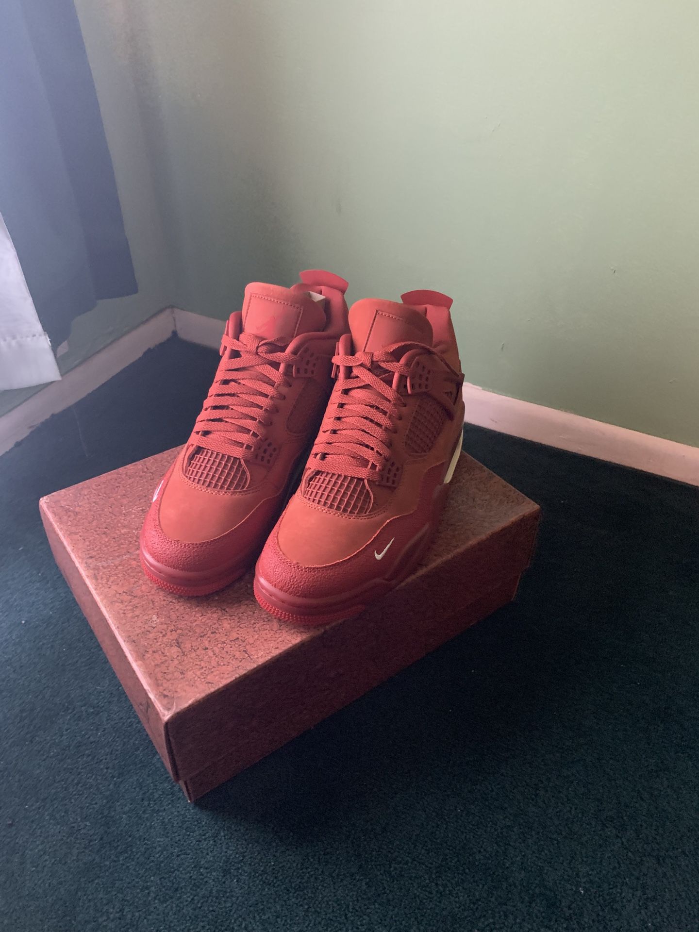 Air Jordan 4 Retro OG BIKE