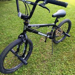 Mongoose Brawler Bmx