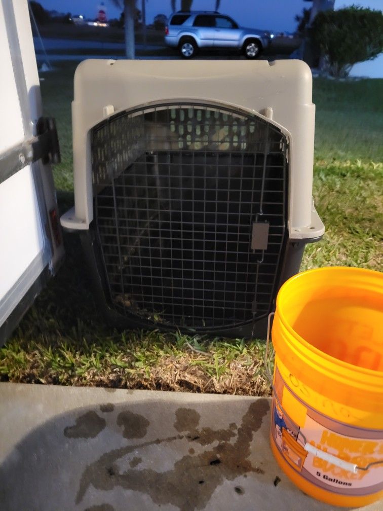 Huge Dog Kennel