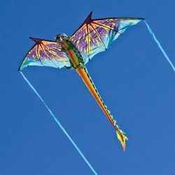Kids Kite