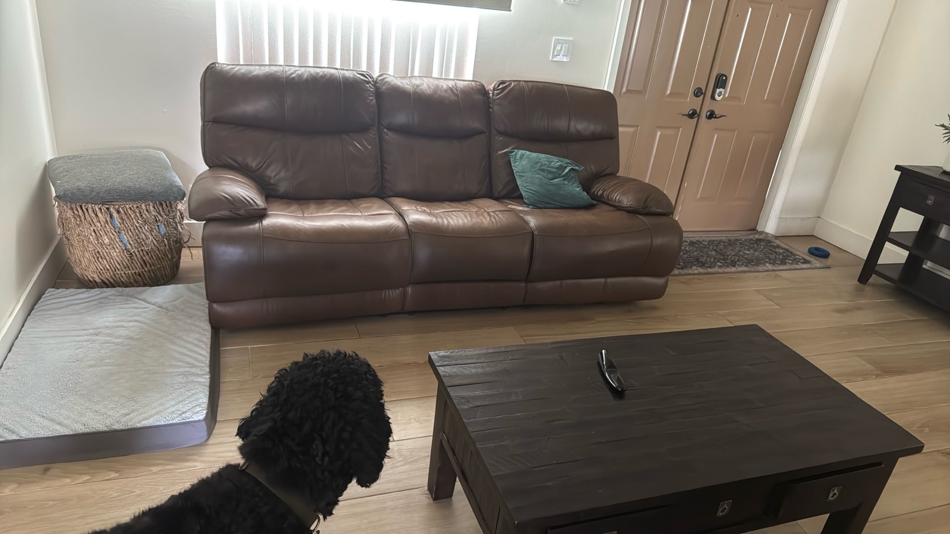 Leather Electric Recliner 