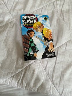 Demon slayer volume 3