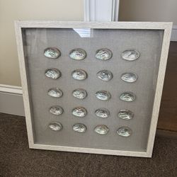 Seashell Wall Decor - Lot Of 3