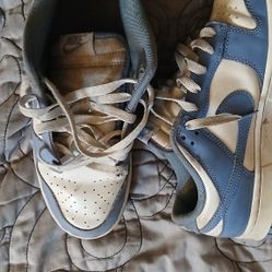 Polar Blue Dunks
