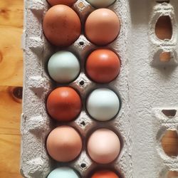 Free range, fresh local eggs