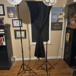 Lights for Creators - $75 A Piece