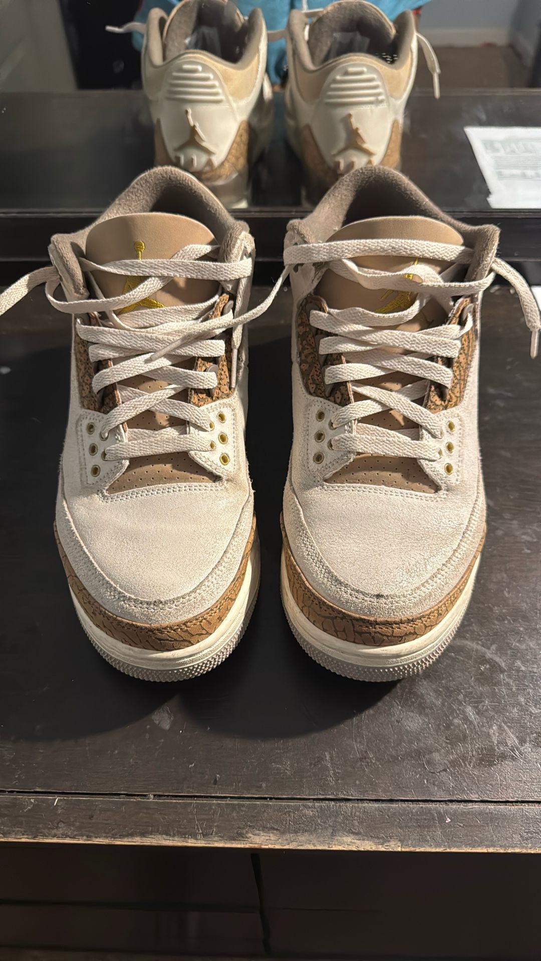 palomino jordan 3