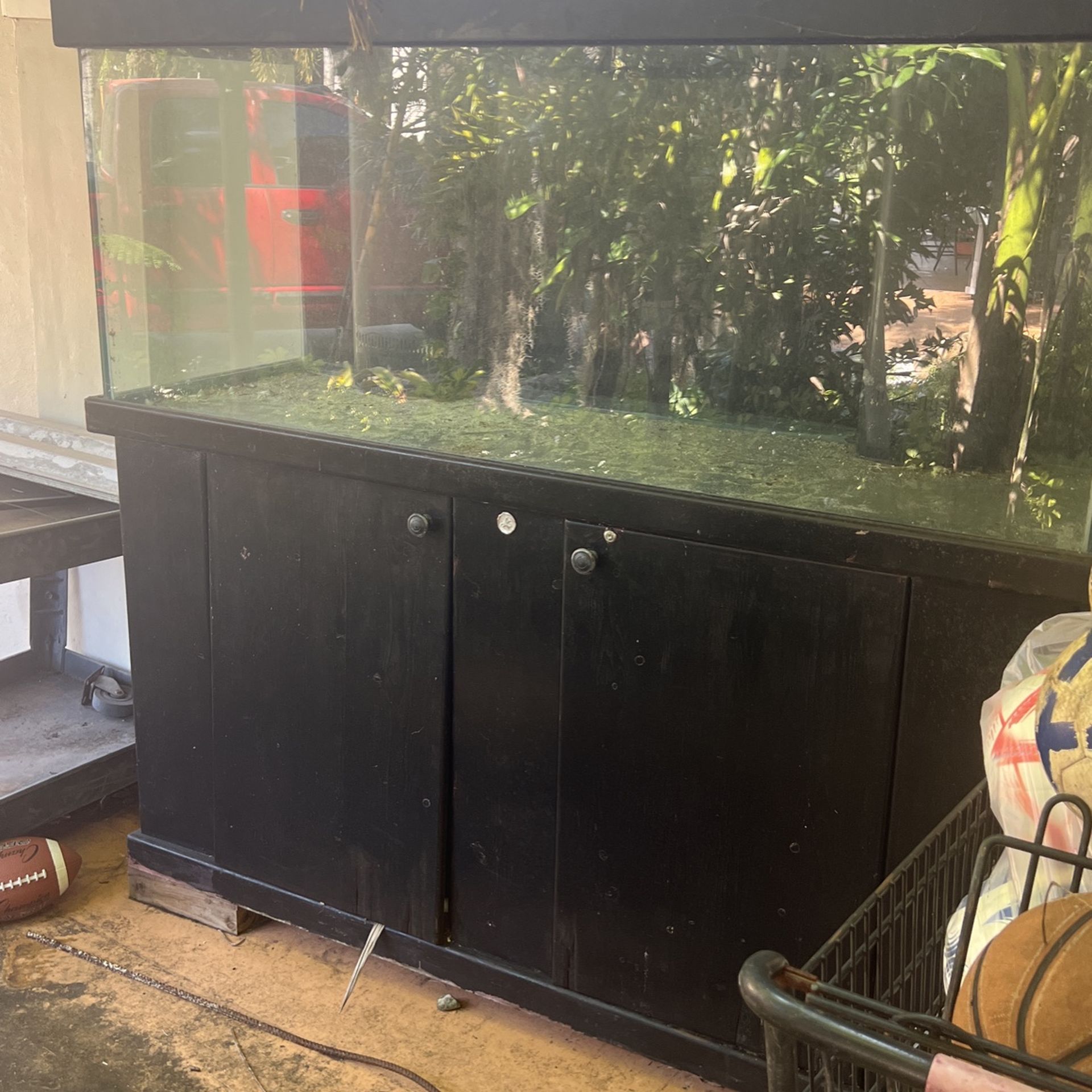 Large Fish Tank