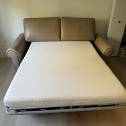 Loveseat Pull Out Couch 