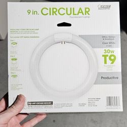 Circle Lightbulb - Free