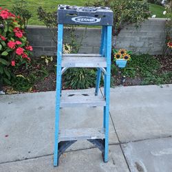 Werner 4' Ladder 