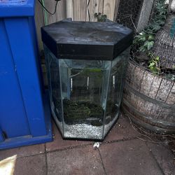 Fish Tank 