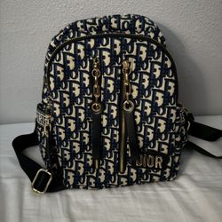 Christian Dior Backpack
